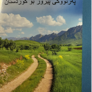 Uusi testamentti (pehmeäkantinen) - Sorani (kurdi)